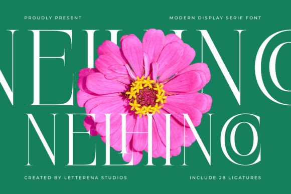 Nelhinco: A Modern Serif Font That Sharpens Campaign Messaging